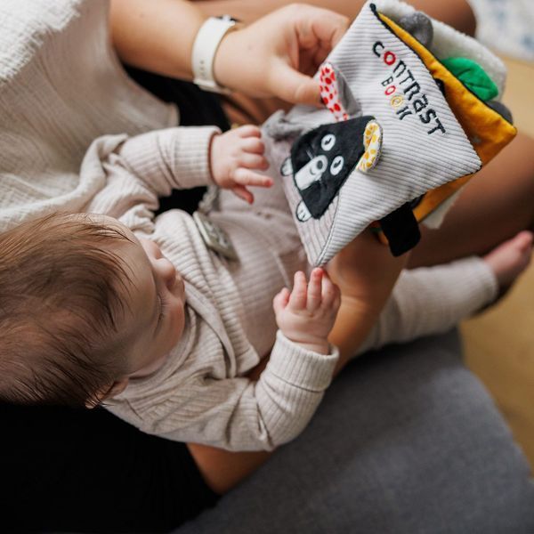 М'яка контрастна сенсорна книжка на коляску Миша від Babyono 1679 фото