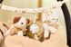 Игрушка-подвеска на коляску Tiny Park от Jollein 061-001-68102 фото 2