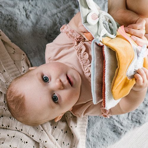 М'яка розвиваюча книжка на коляску від Babyono, Природа 1531 фото