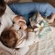 М'яка розвиваюча книжка на коляску від Babyono, Корівка Бінго 1690 фото 12