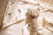 Брязкальце Teddy Bear від Jollein, Olive Green 039-001-68062 фото 3