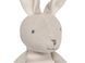 Мягкая игрушка Bunny Joey от Jollein 037-001-65366 фото 2