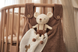 Мягкая игрушка Mouse Bowie от Jollein 037-001-67074 фото 8