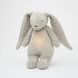 Зайчик поющий с ночником Moonie Grey Natur KGR2 фото 2
